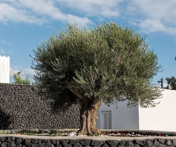 Hotel Santa Irina Luxury Sunny Lofts 4*